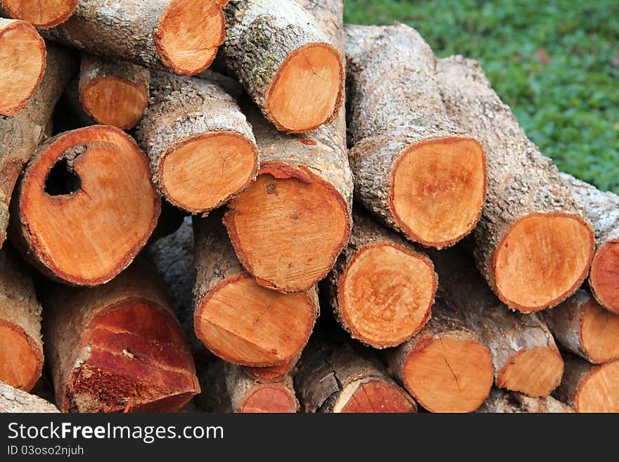 The stack of firewood on lawn