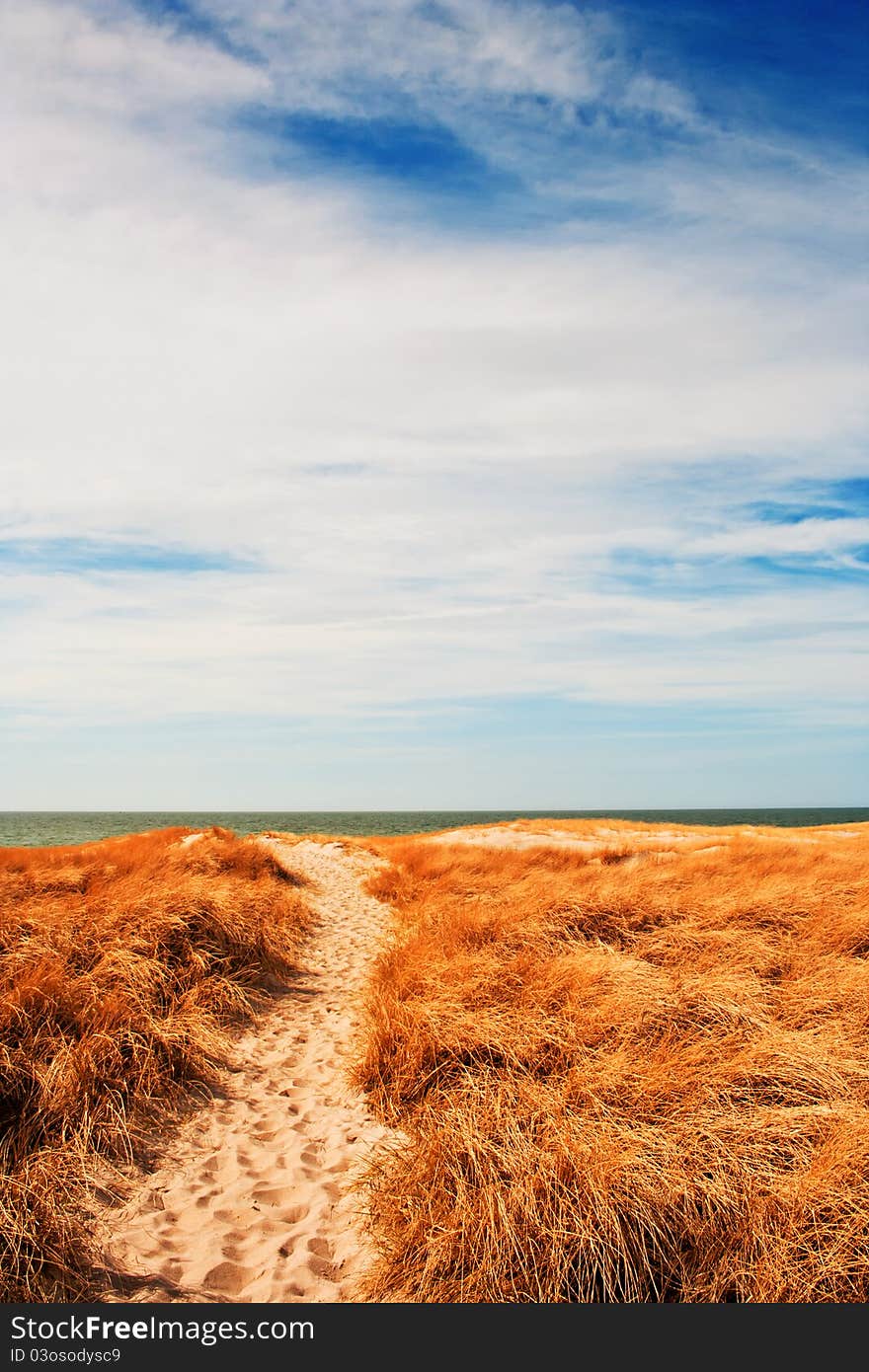 The last dune before the sea. The last dune before the sea