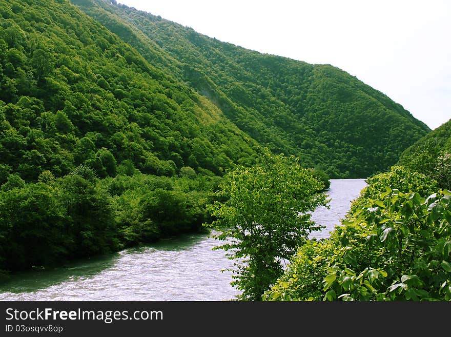 On this picture you can see a magnificent green woods shrouding mountains and the river between them. On this picture you can see a magnificent green woods shrouding mountains and the river between them