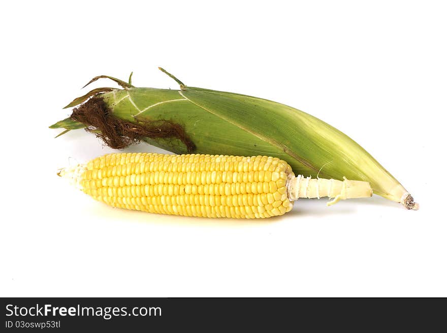 Corn Isolated On White Background