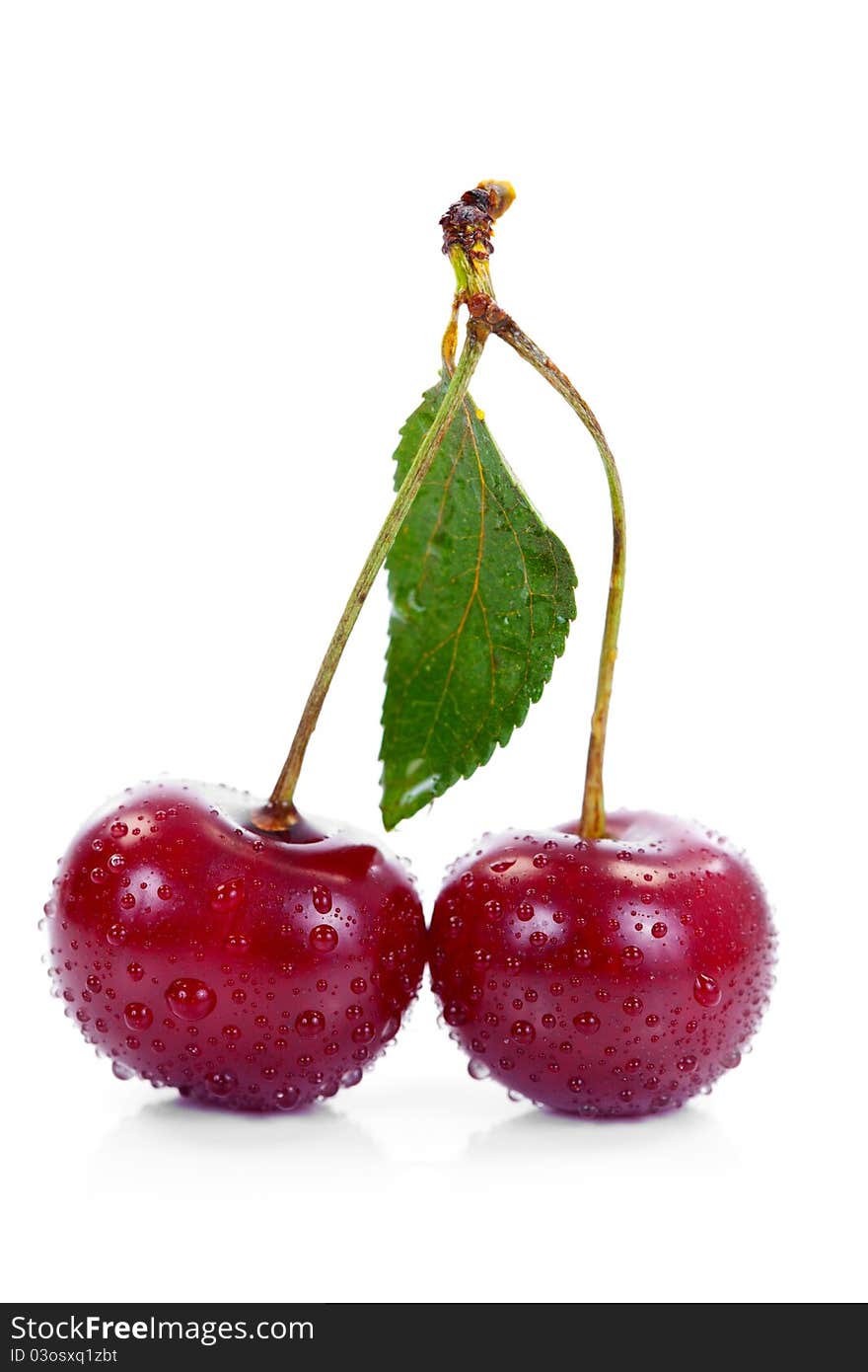 Wet Cherries