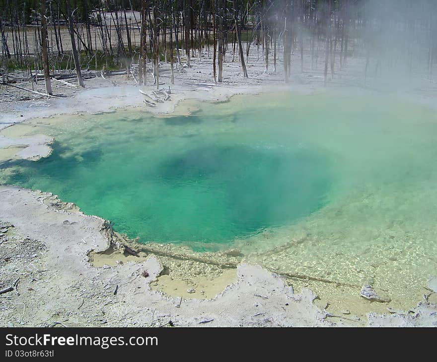 Colorful green hot spring at Yellowstone National Park