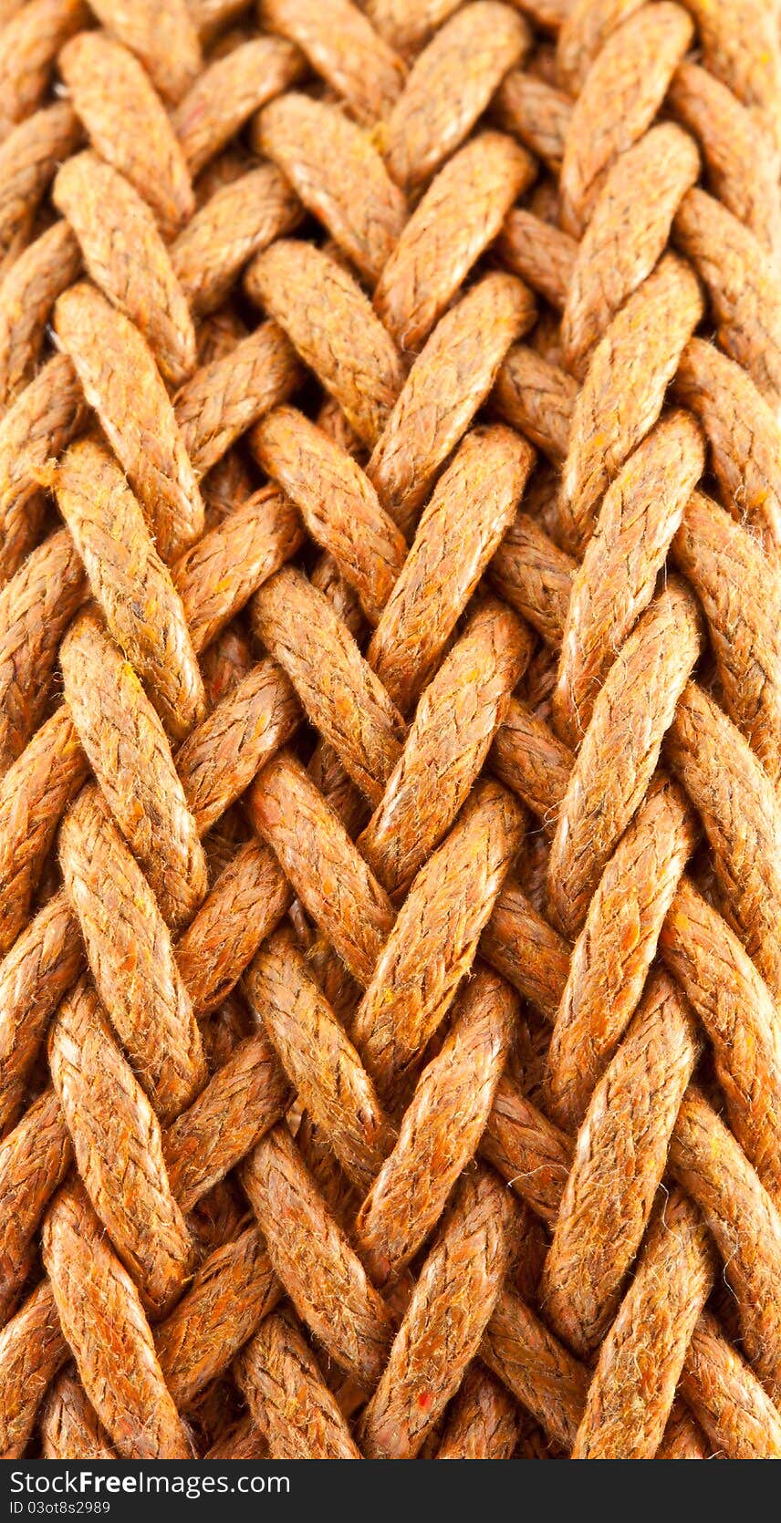 Close up brown leather belt isolated on white background. Close up brown leather belt isolated on white background