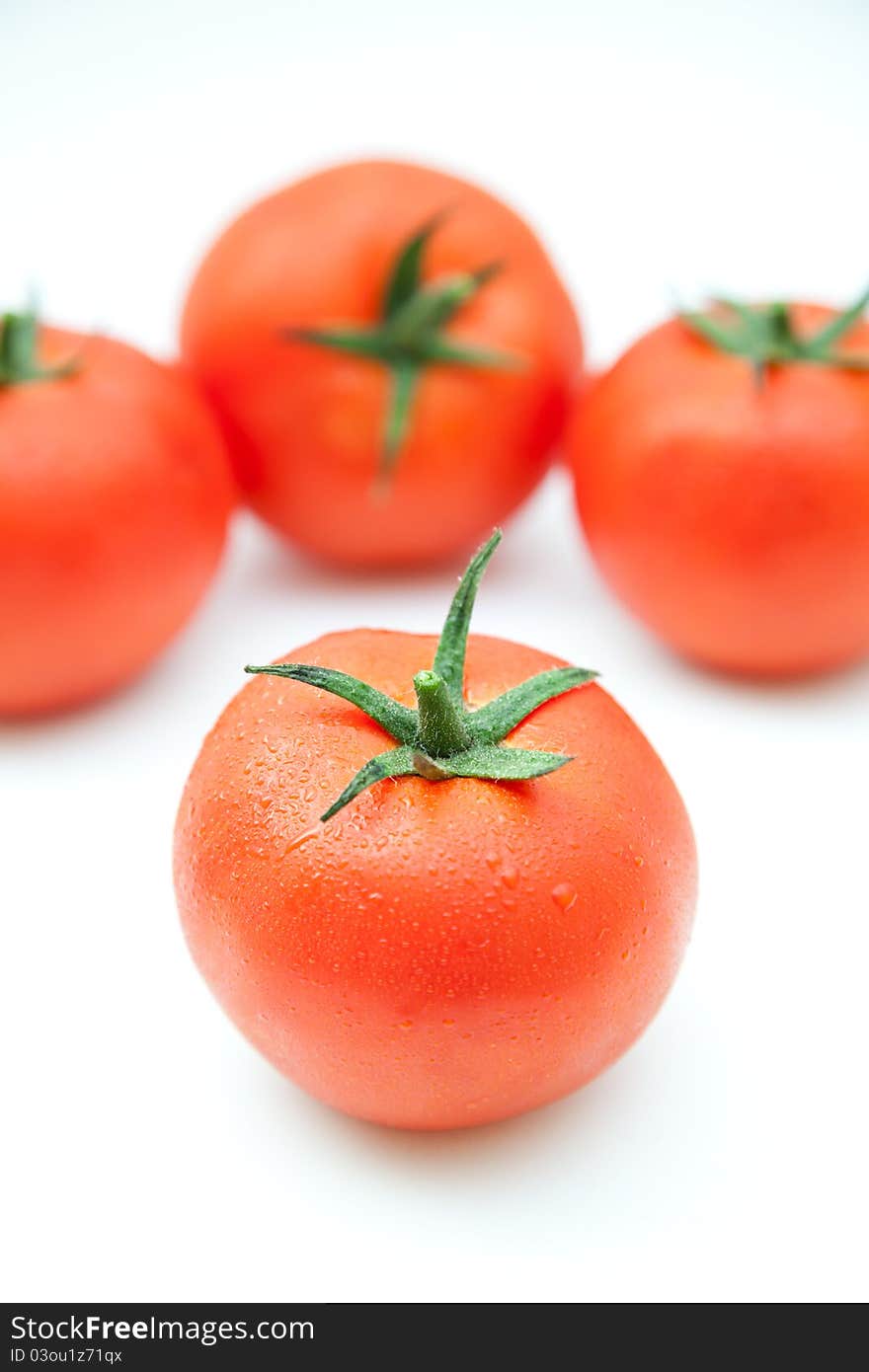 Group of tomatoes with white background