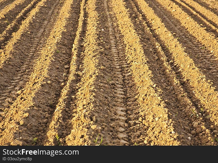 Background of newly plowed field in springtime