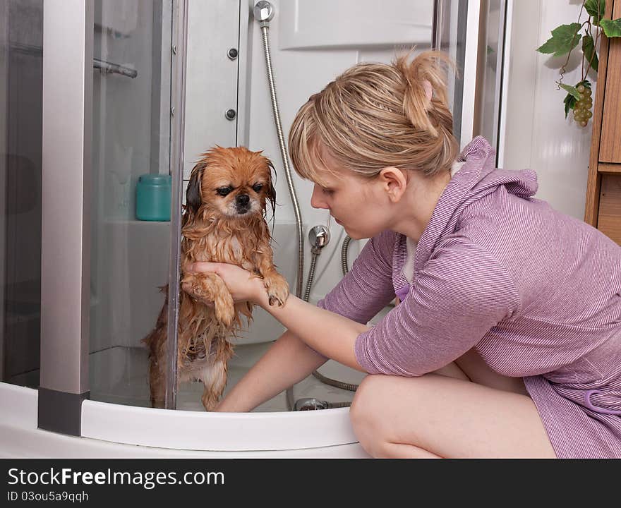 The girl washes a dog