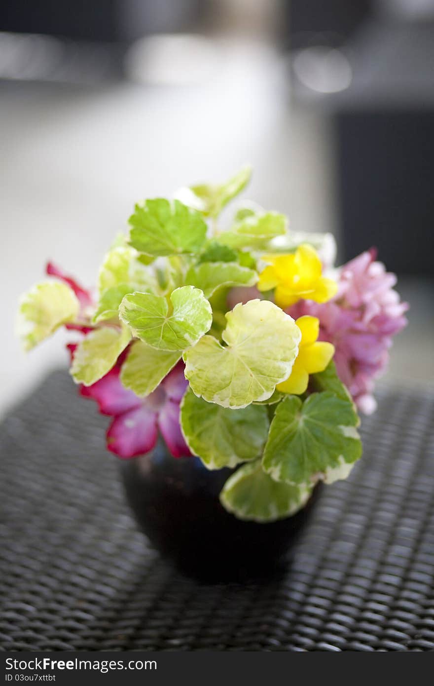 A pot of red and yellow flowers with green leaves on a table