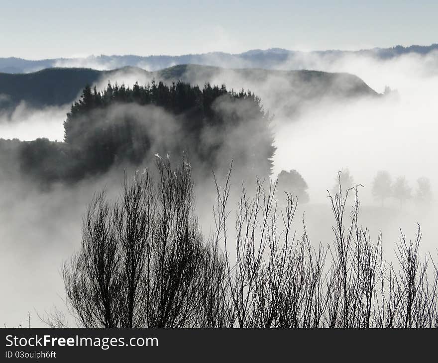 Misty Hills