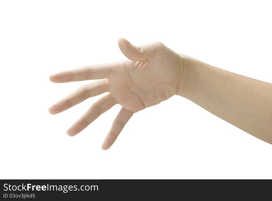 Hand Gesture Isolated