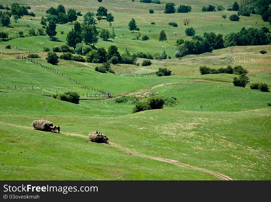 Green Rolling Hills And Farmers Collecting Hay