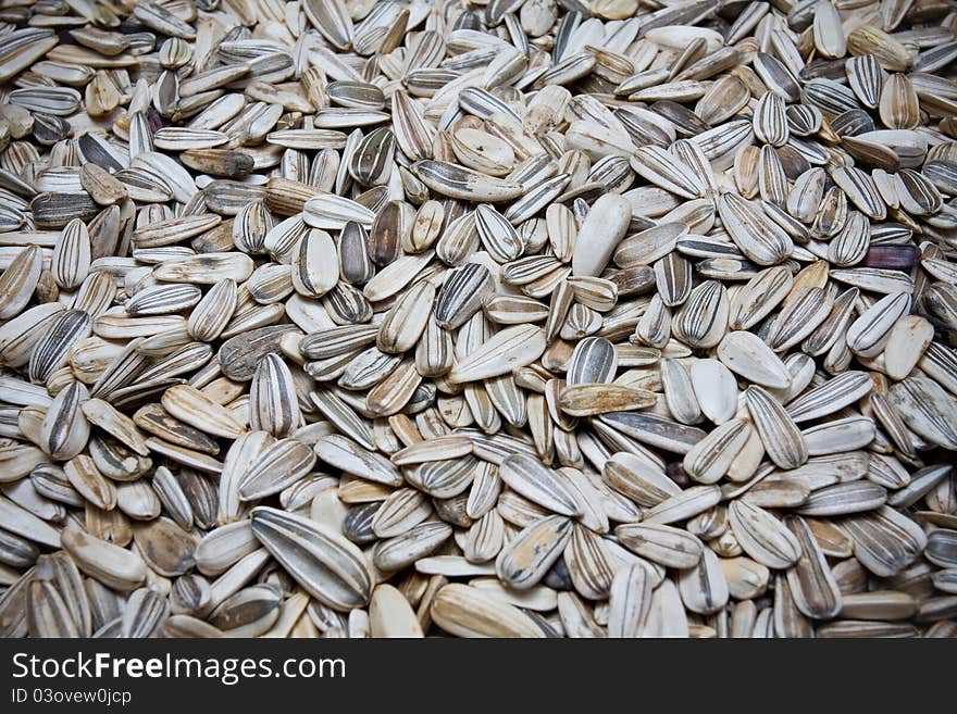 Sunflower seeds