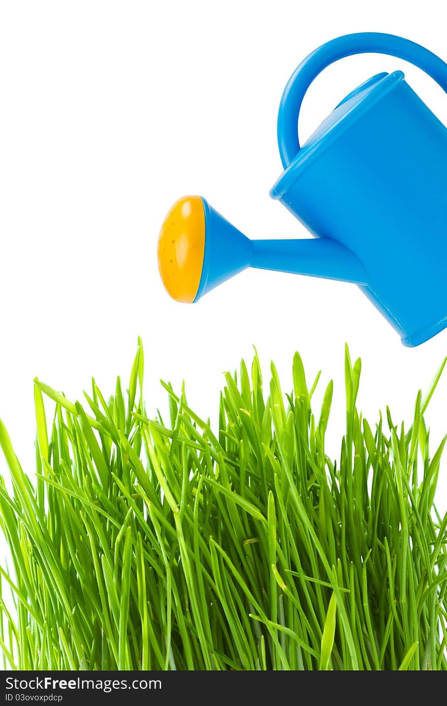 Watering can and green grass