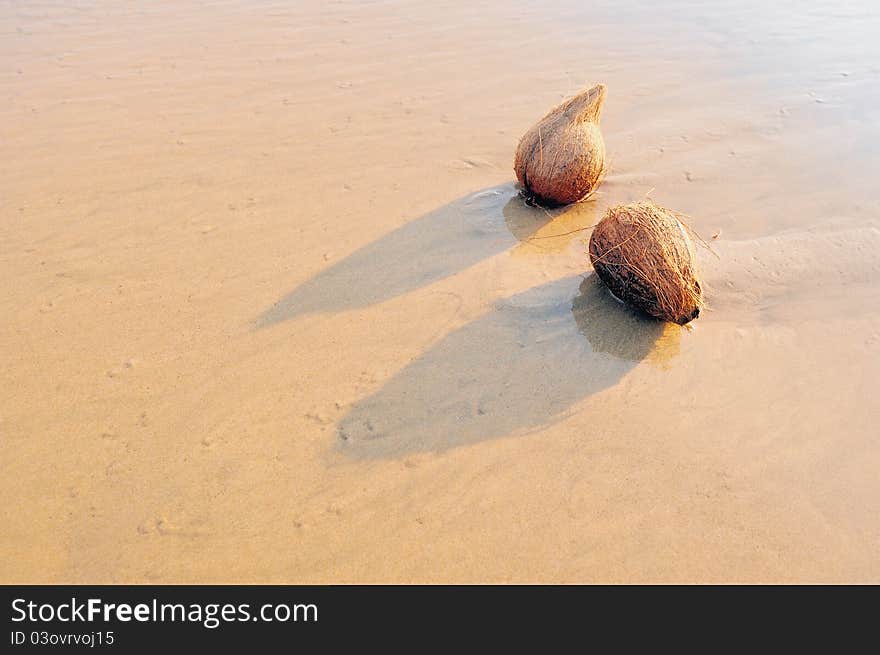 Two coconut on the sandy sea shore. Two coconut on the sandy sea shore