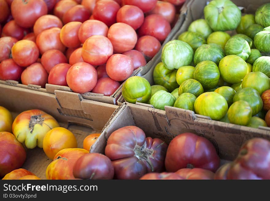 Farm Tomatoes