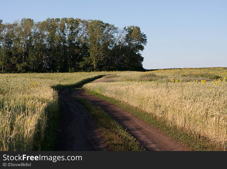 Rural road