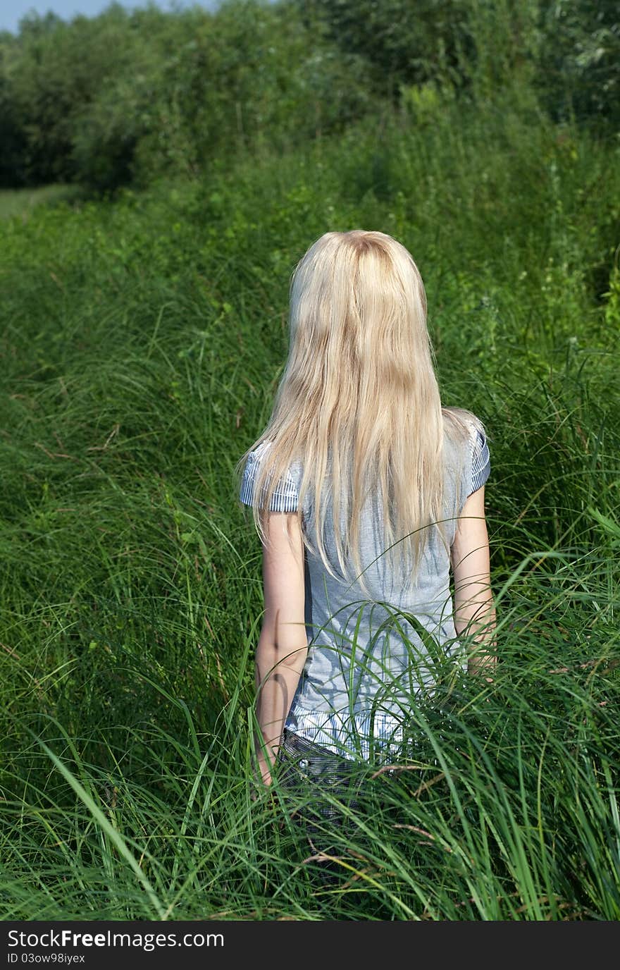 Long-haired blonde bush grass. Long-haired blonde bush grass.