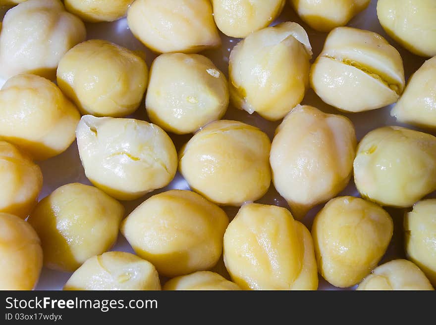 Group of chickpea