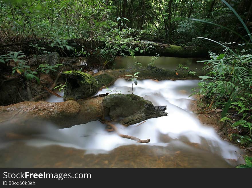 Water extremely flows through a Tree at Rainforrest Waterfall Layer in Thailand. Water extremely flows through a Tree at Rainforrest Waterfall Layer in Thailand