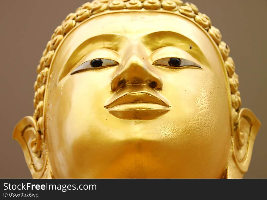 Face Of The Buddha