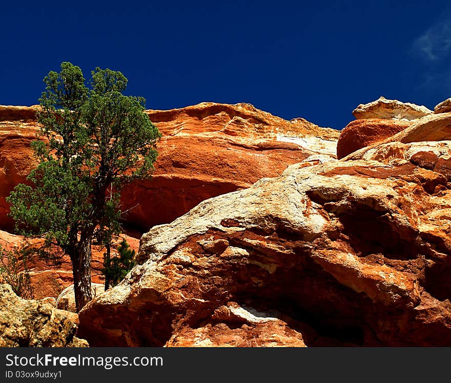 A lone tree on a jagged red and white cliff. A lone tree on a jagged red and white cliff