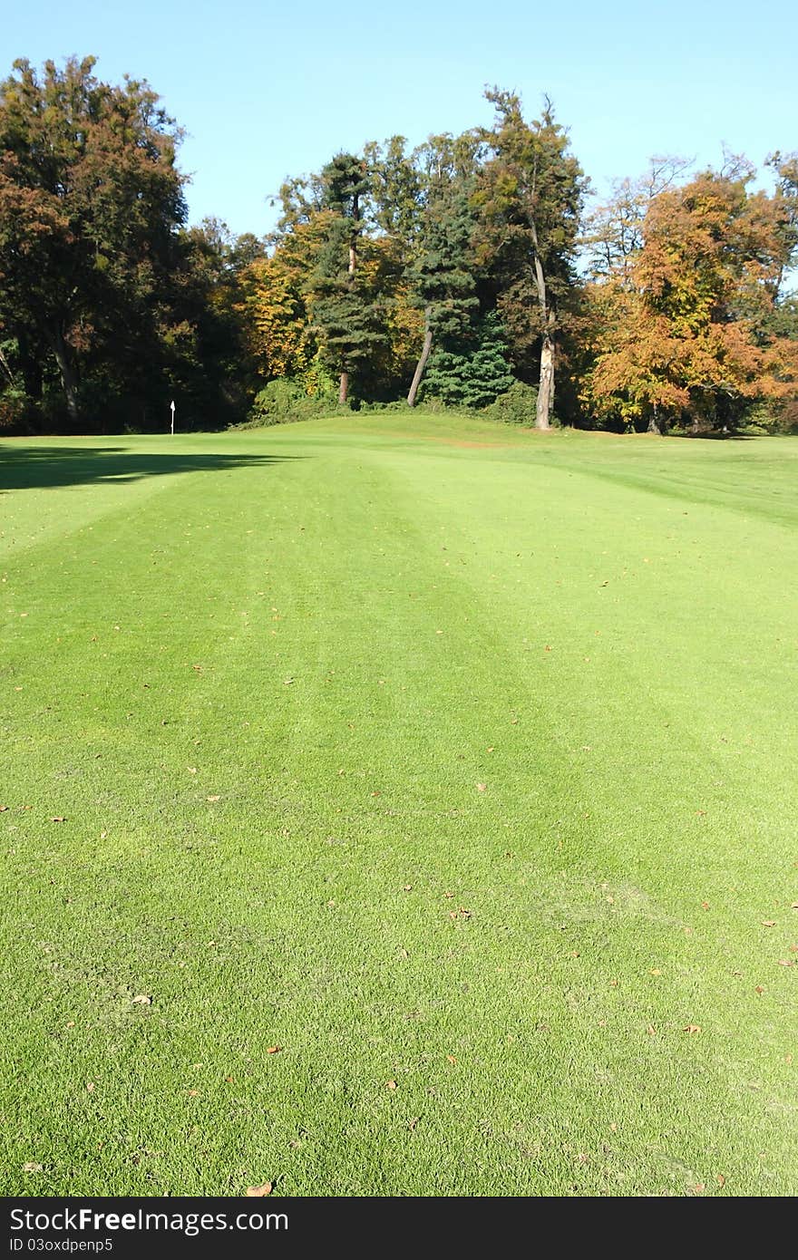 Summer morning on golf course