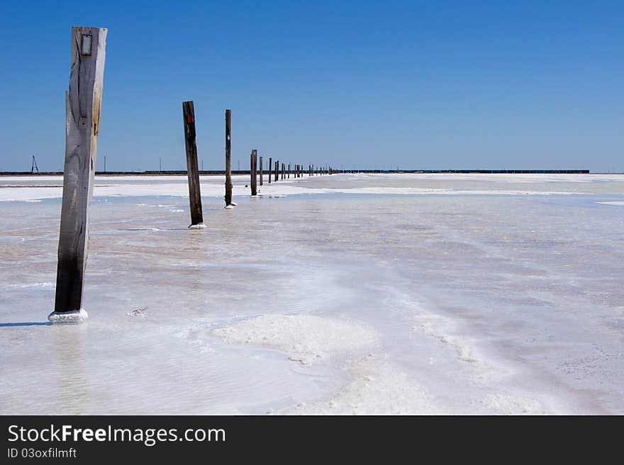 Old wooden poles on the lake