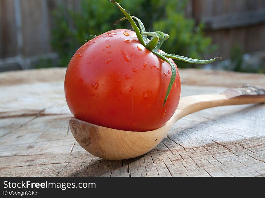 A fresh tomato on a wooden spoon. A fresh tomato on a wooden spoon