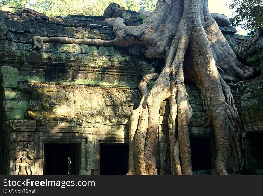 Ta Prohm is the modern name of a temple at Angkor, Cambodia, built in the late 12th and early 13th centuries and originally called Rajavihara. It was founded by the Khmer King Jayavarman VII as a Mahayana Buddhist monastery and university. Unlike most Angkorian temples, Ta Prohm has been left in much the same condition in which it was found: the photogenic and atmospheric combination of trees grow. Ta Prohm is the modern name of a temple at Angkor, Cambodia, built in the late 12th and early 13th centuries and originally called Rajavihara. It was founded by the Khmer King Jayavarman VII as a Mahayana Buddhist monastery and university. Unlike most Angkorian temples, Ta Prohm has been left in much the same condition in which it was found: the photogenic and atmospheric combination of trees grow