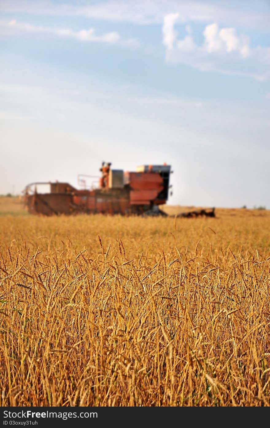 Harvester in wheat field. Harvesting. Harvester in wheat field. Harvesting.