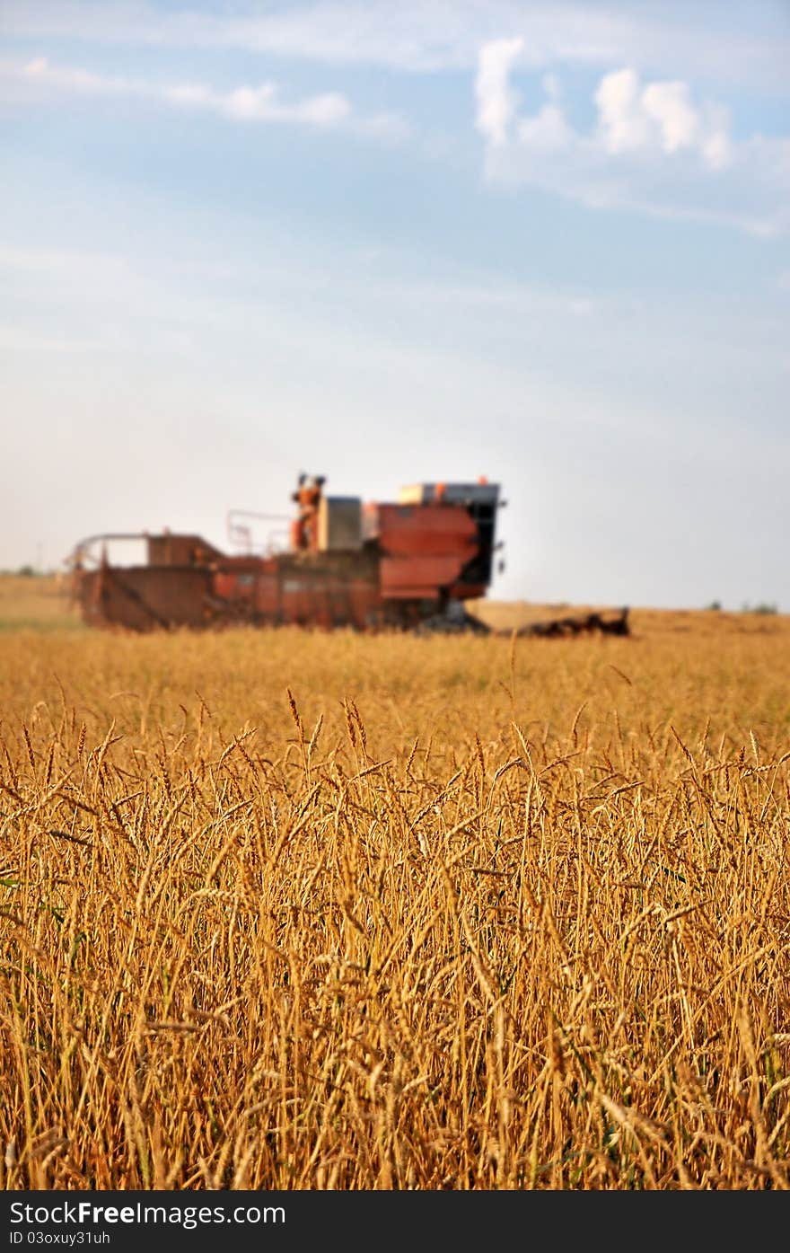 Harvester in the field