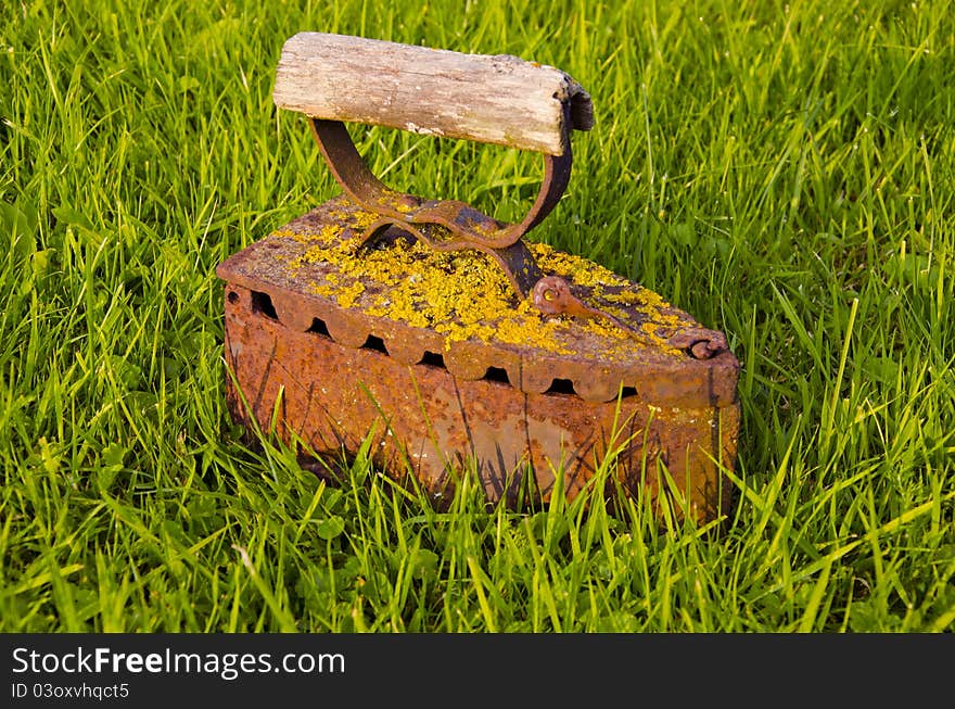 Vintage and rusted iron and green grass