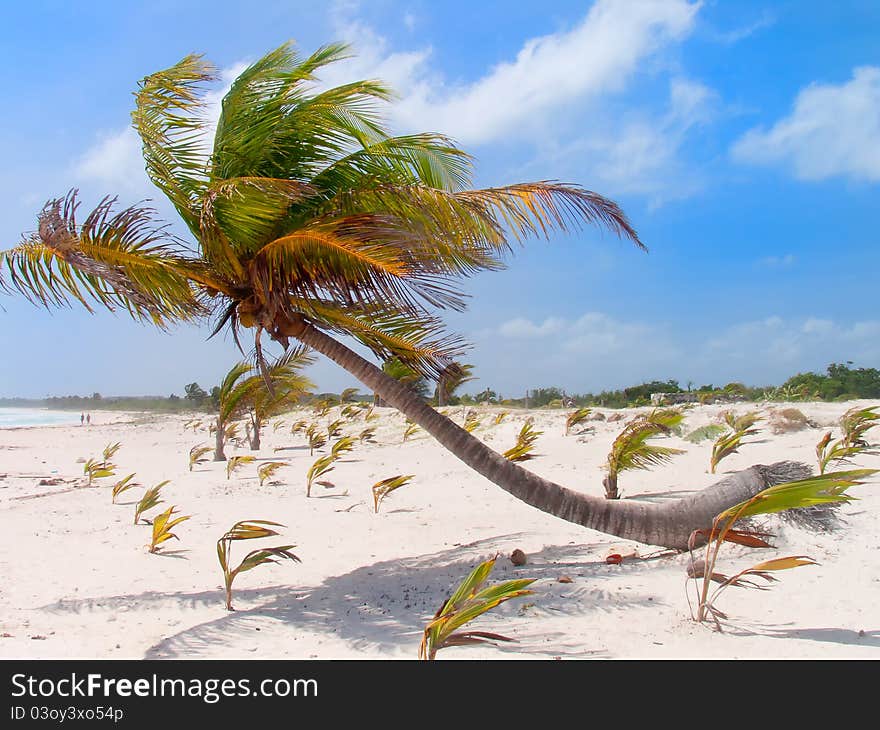 View of the Caribbean beach.