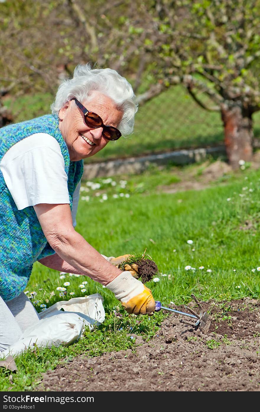 Portrait of a senior woman in a garden. Portrait of a senior woman in a garden.