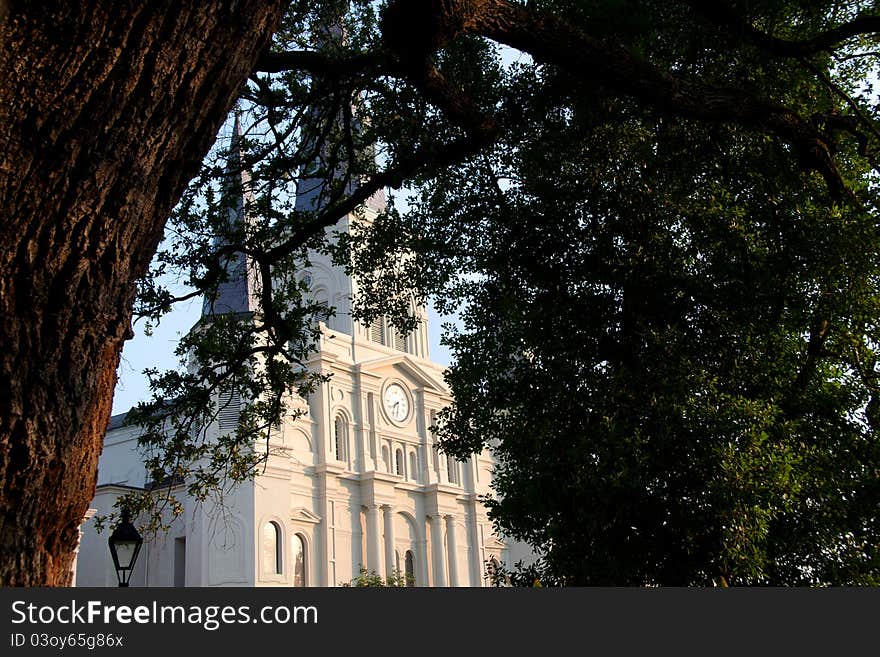 Saint Louis Cathedral through Oaks