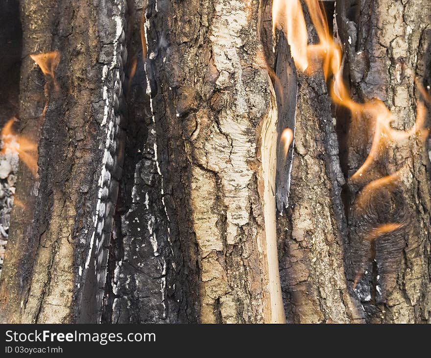 The firewood burning for cooking grill or barbecue