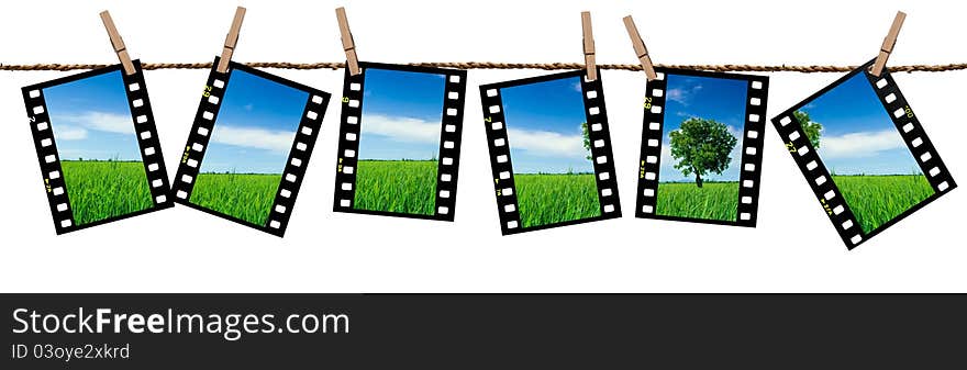 The image of single tree and padel rices field and blue sky in color transparency films hang on the rope cliped with wooden clip paths. The image of single tree and padel rices field and blue sky in color transparency films hang on the rope cliped with wooden clip paths