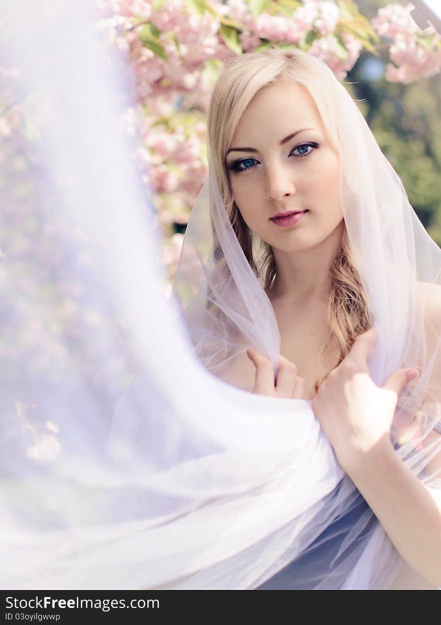 Portrait of beautiful girl with white kerchief and blooming sakura on background. Portrait of beautiful girl with white kerchief and blooming sakura on background