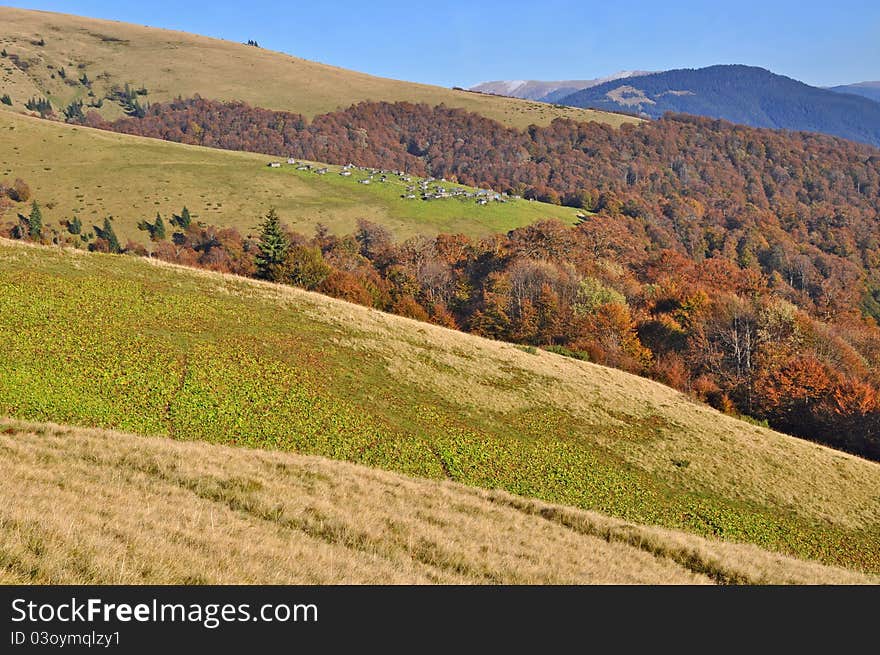 Autumn on a hillside