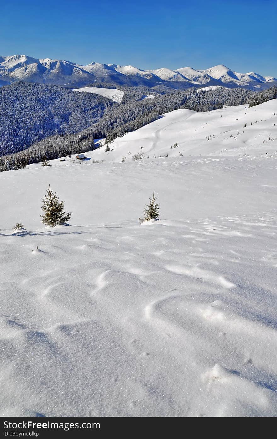 Winter in mountains