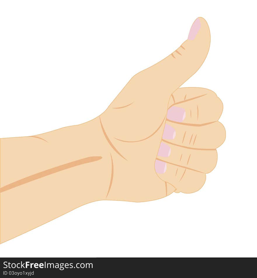 Vector illustration of the hand on white background. Vector illustration of the hand on white background