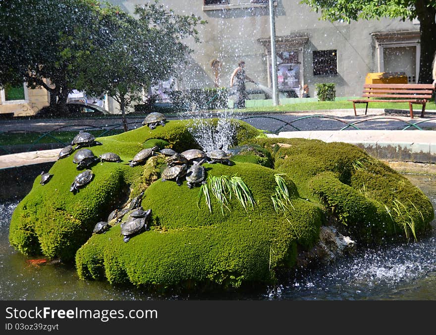 Fountain with water turtles