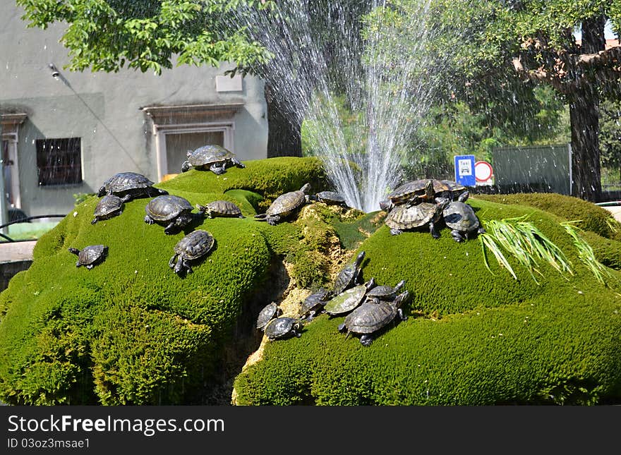 Fountain with water turtles