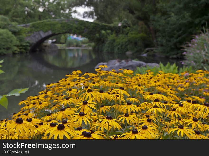 Central Park at Gapstow bridge