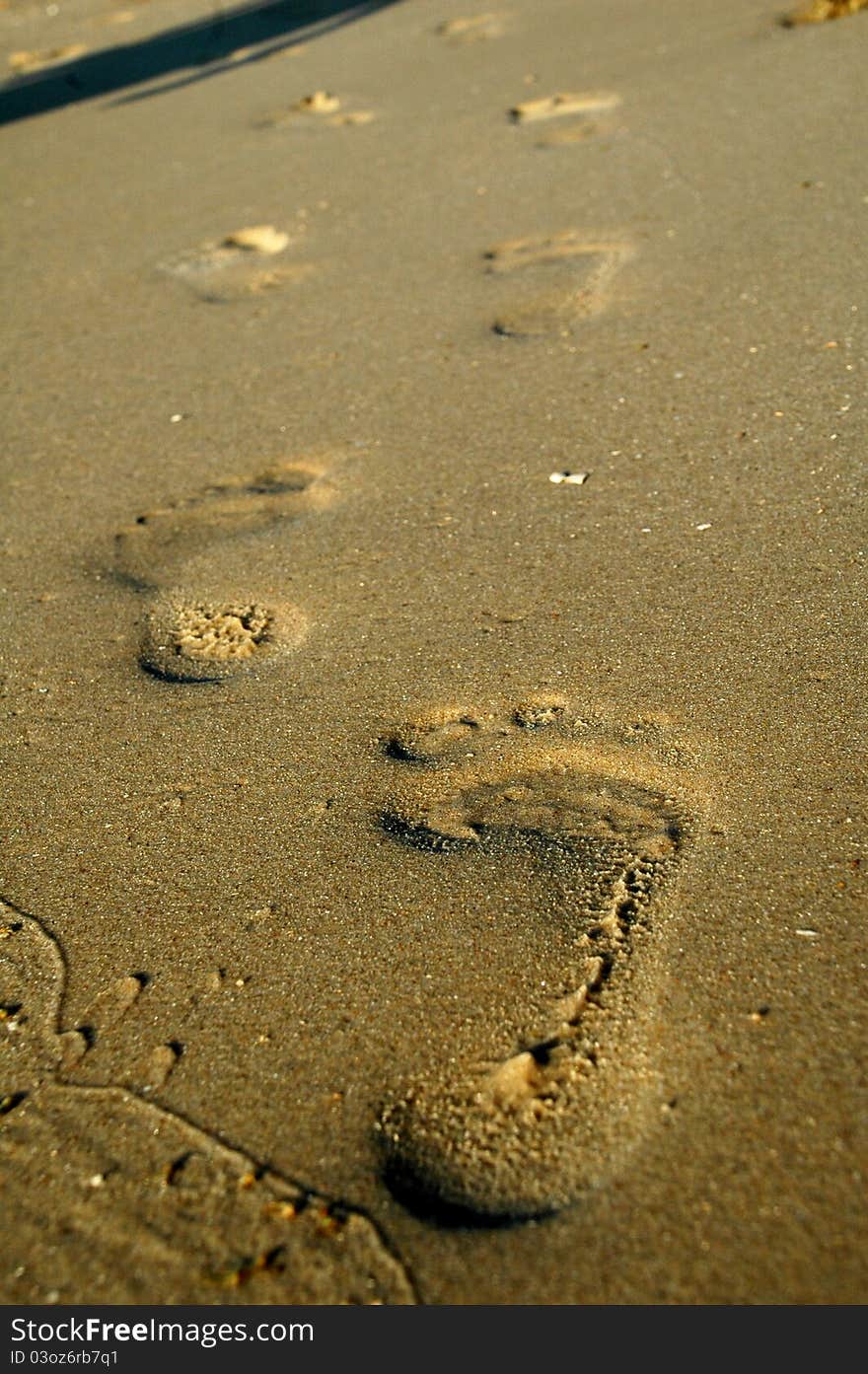 Footprints On The Sand