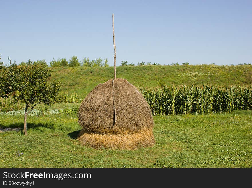 Hayrick (haystack) near the garden with vegetables