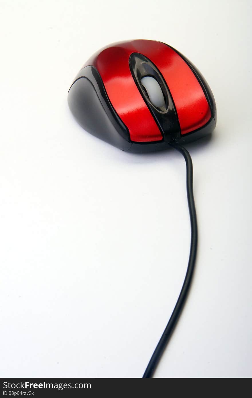 Computer Mouse