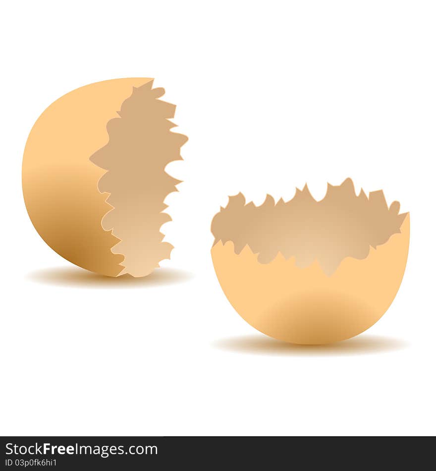 Cracked egg shell