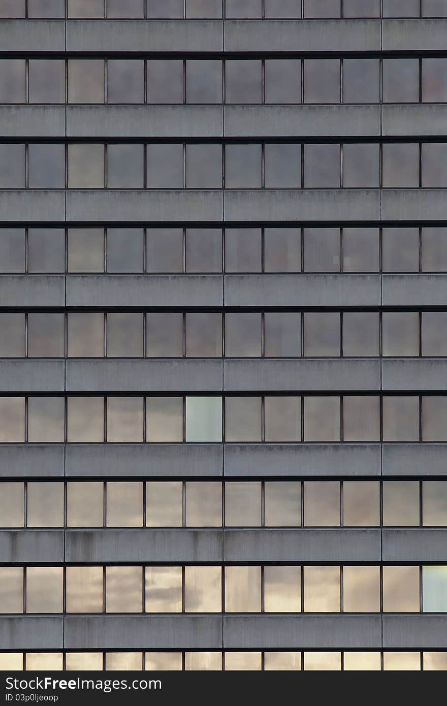 Rows of windows in a modern office block