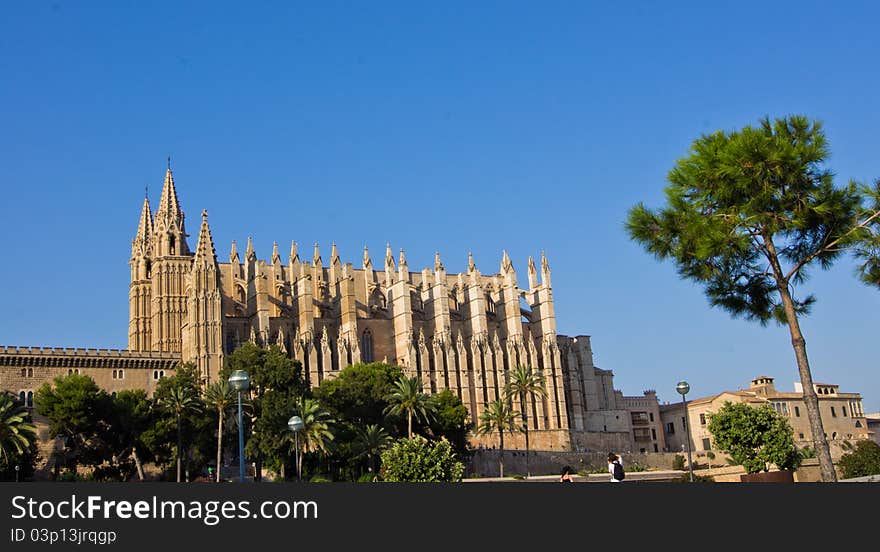 Antique cathedral in Palma de Mallorca with trees around it.