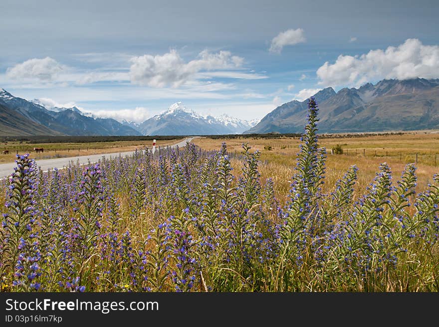 Mountain scape along the way to Mt. Cook, New Zealand. Mountain scape along the way to Mt. Cook, New Zealand